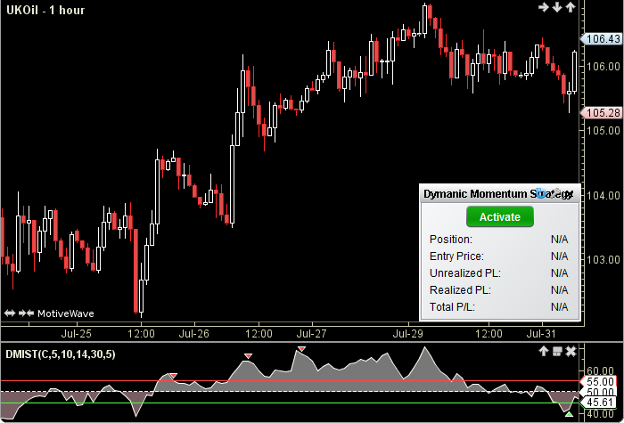 Dynamic Momentum Strategy