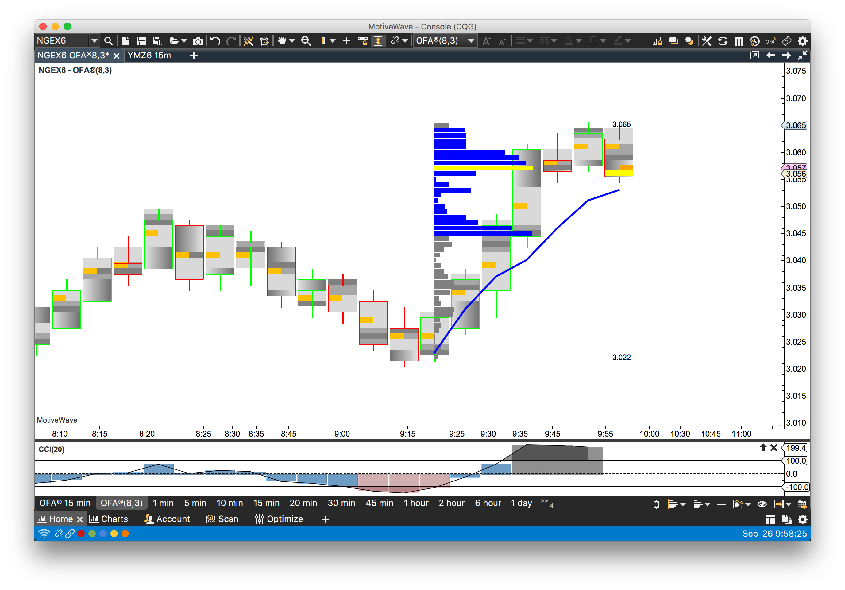 OrderFlowAnalytics Light Theme